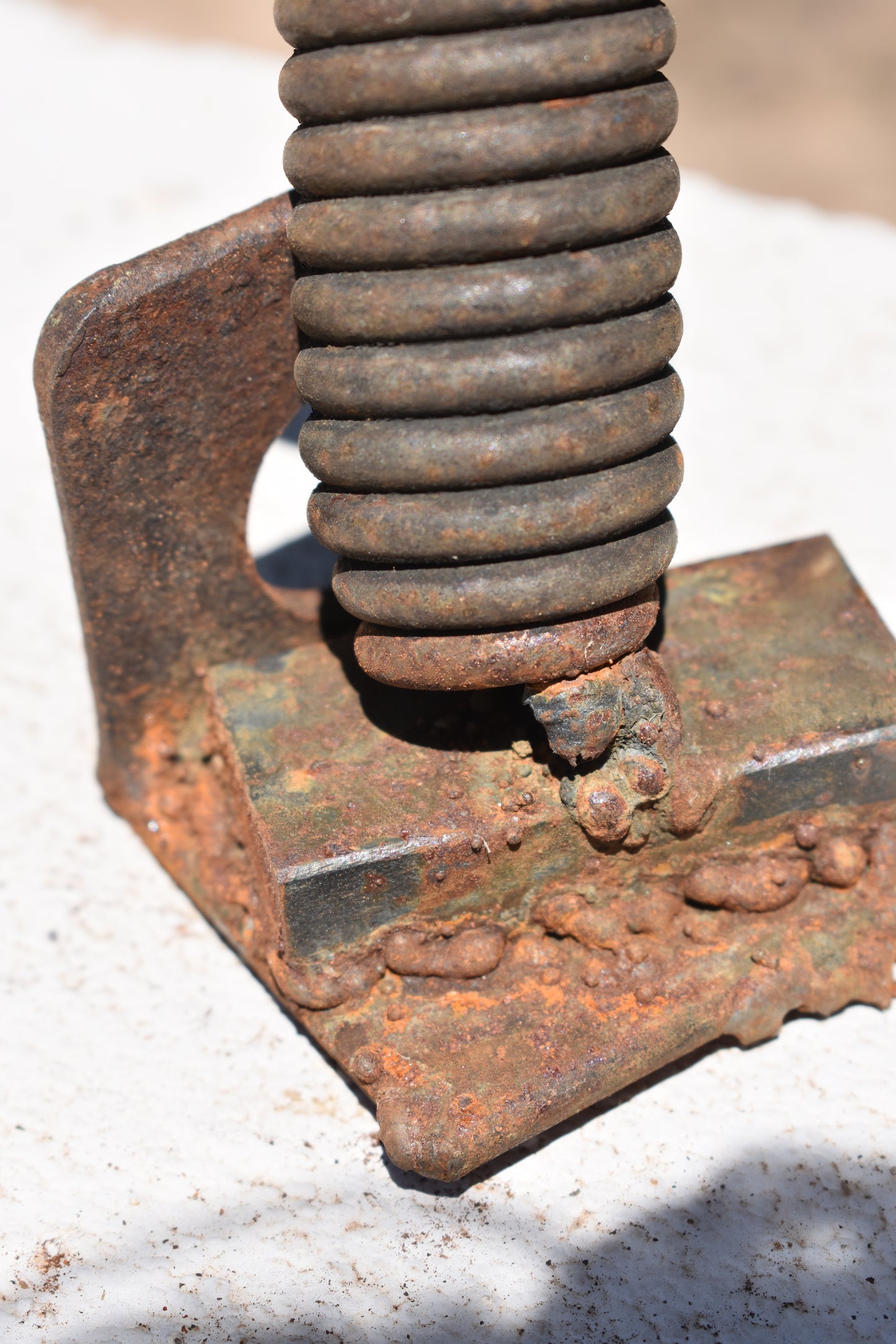 The Spring Bloom — Original Metal Sculpture